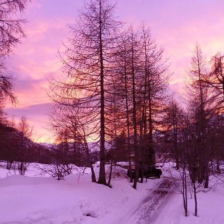 Chalet Miel De La Cayolle-Estenc Entraunes Kültér fotó