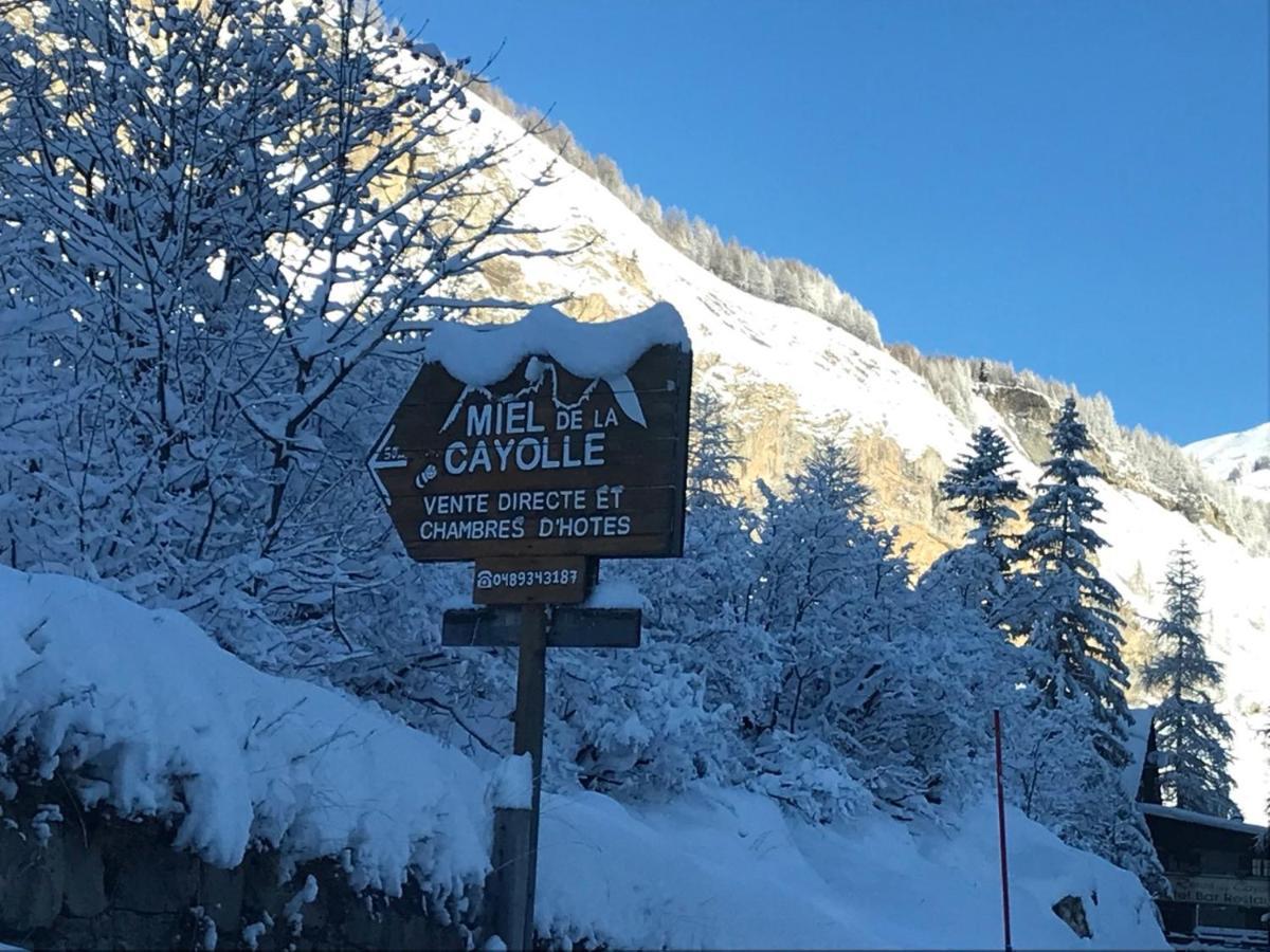 Chalet Miel De La Cayolle-Estenc Entraunes Kültér fotó